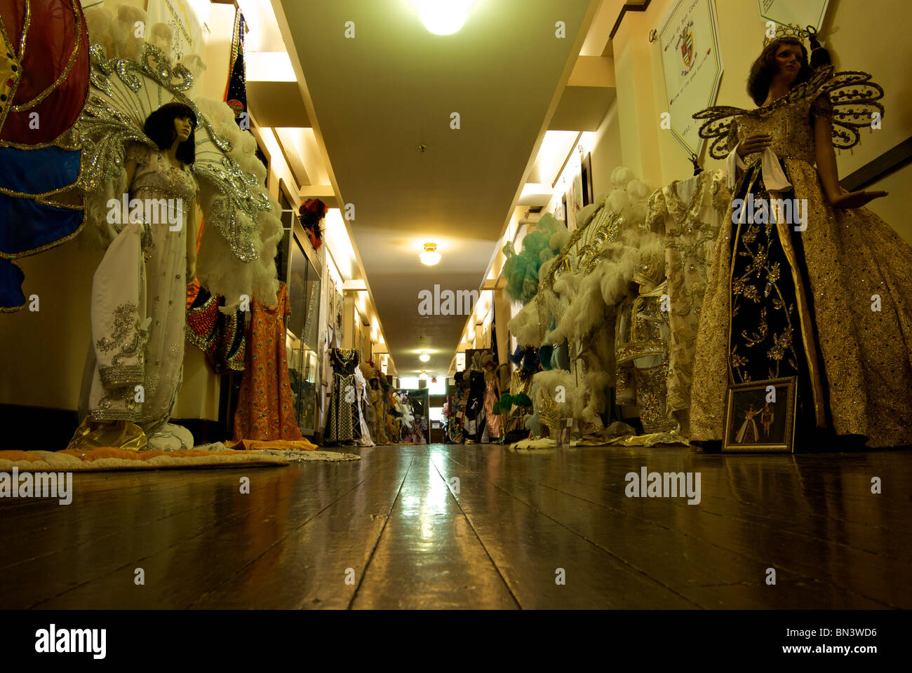 the mardi gras museum