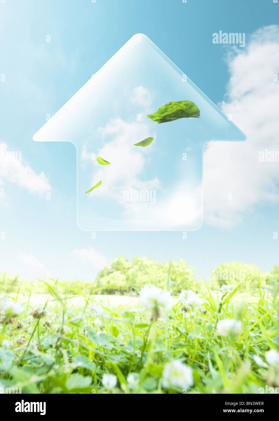 Ecofriendly house image Stock Photo Alamy