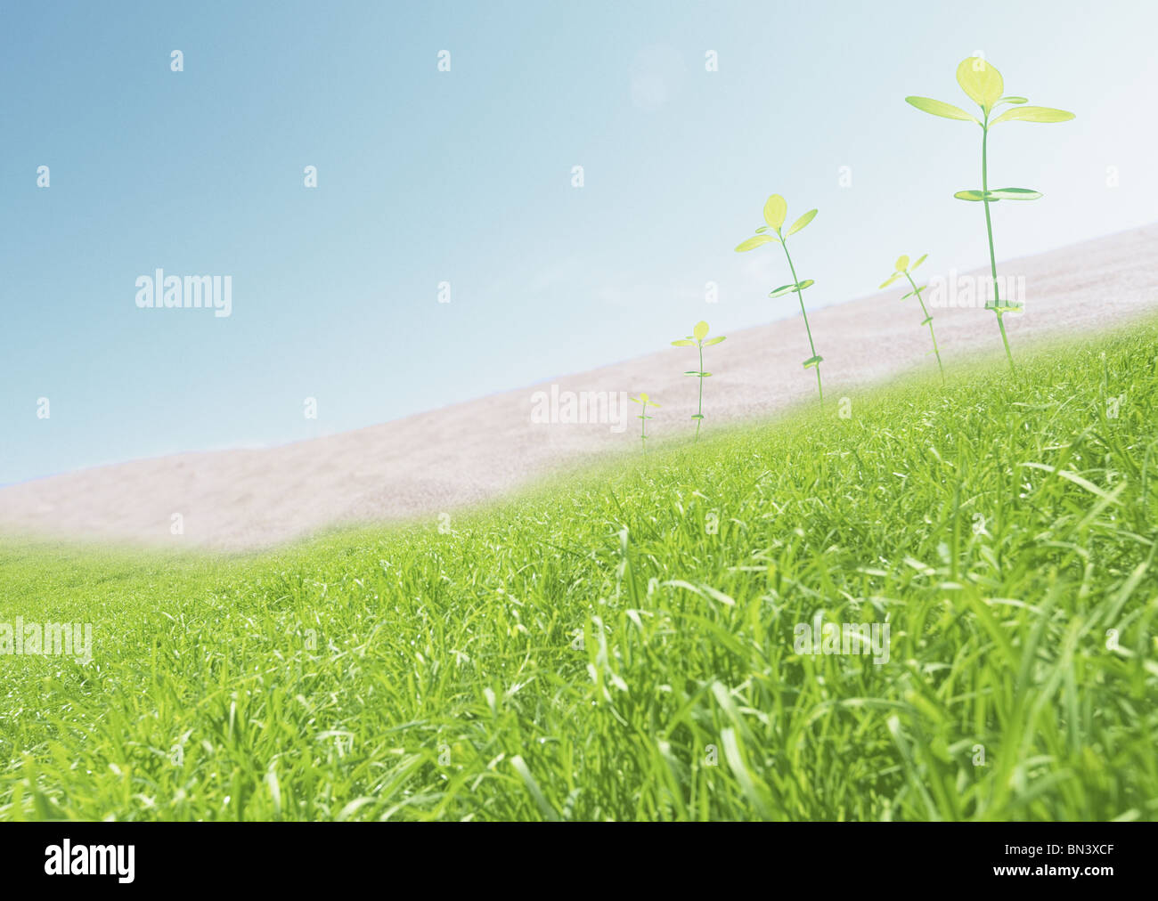 Grassland and desert Stock Photo Alamy