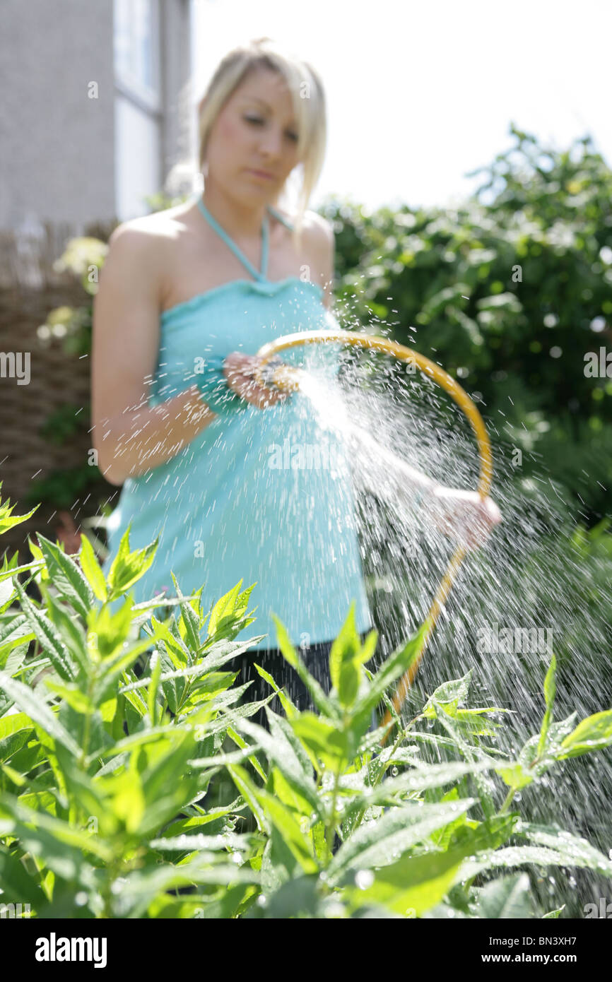 Woman watering garden with hosepipe. Stock Photo