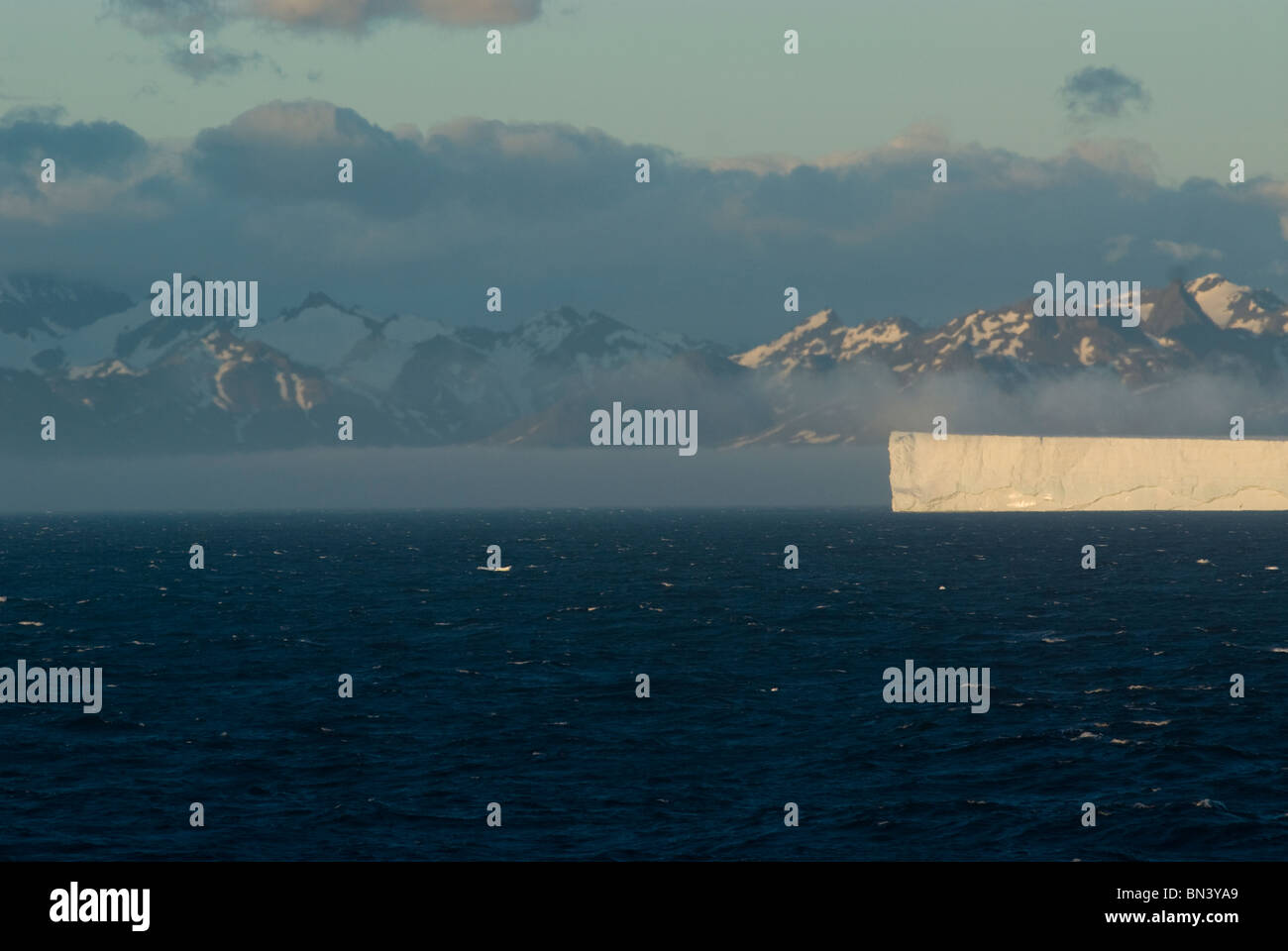 Large iceberg, series, South Georgia Stock Photo