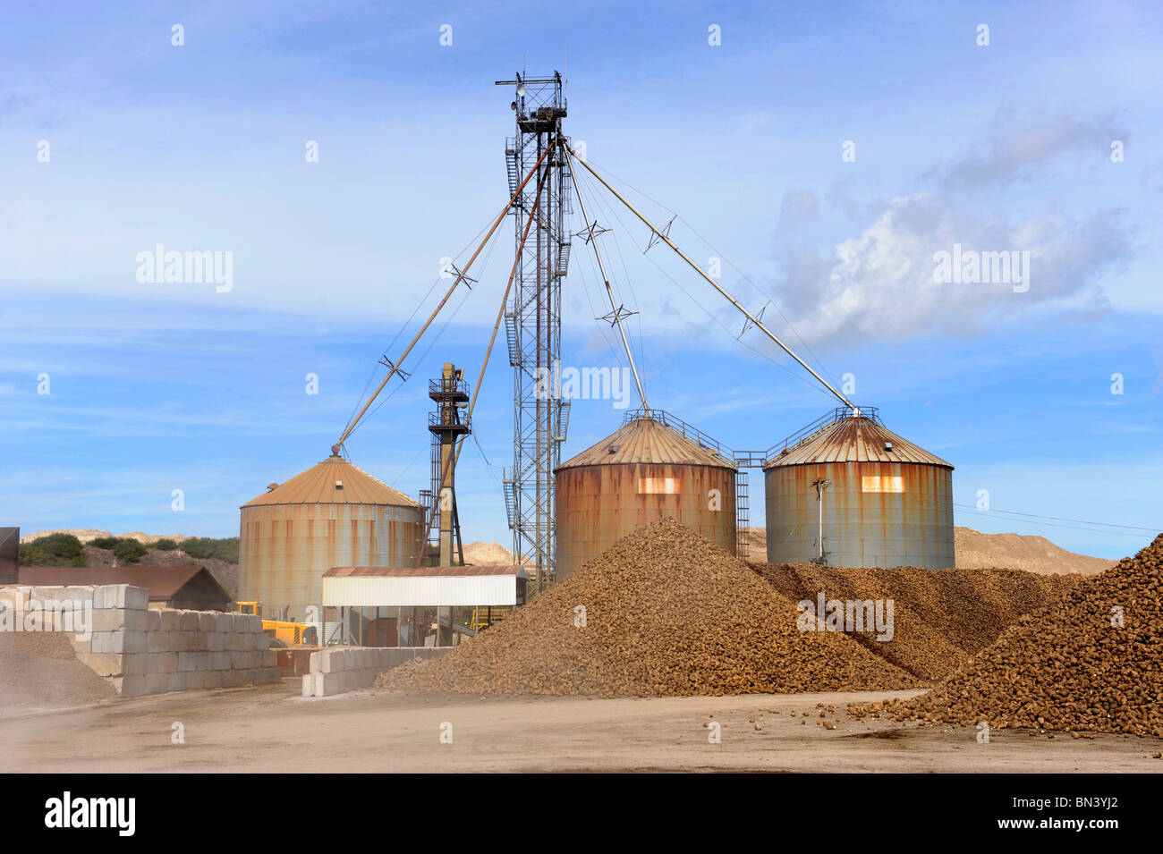 Michigan sugar company hires stock photography and images Alamy