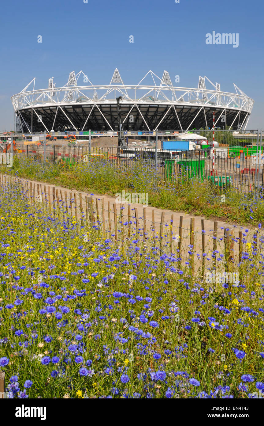 Flowers planted Greenway footpath & bike cycling route embankment above Joseph Bazalgette Northern Outfall Sewer 2012 Olympic stadium East London UK Stock Photo