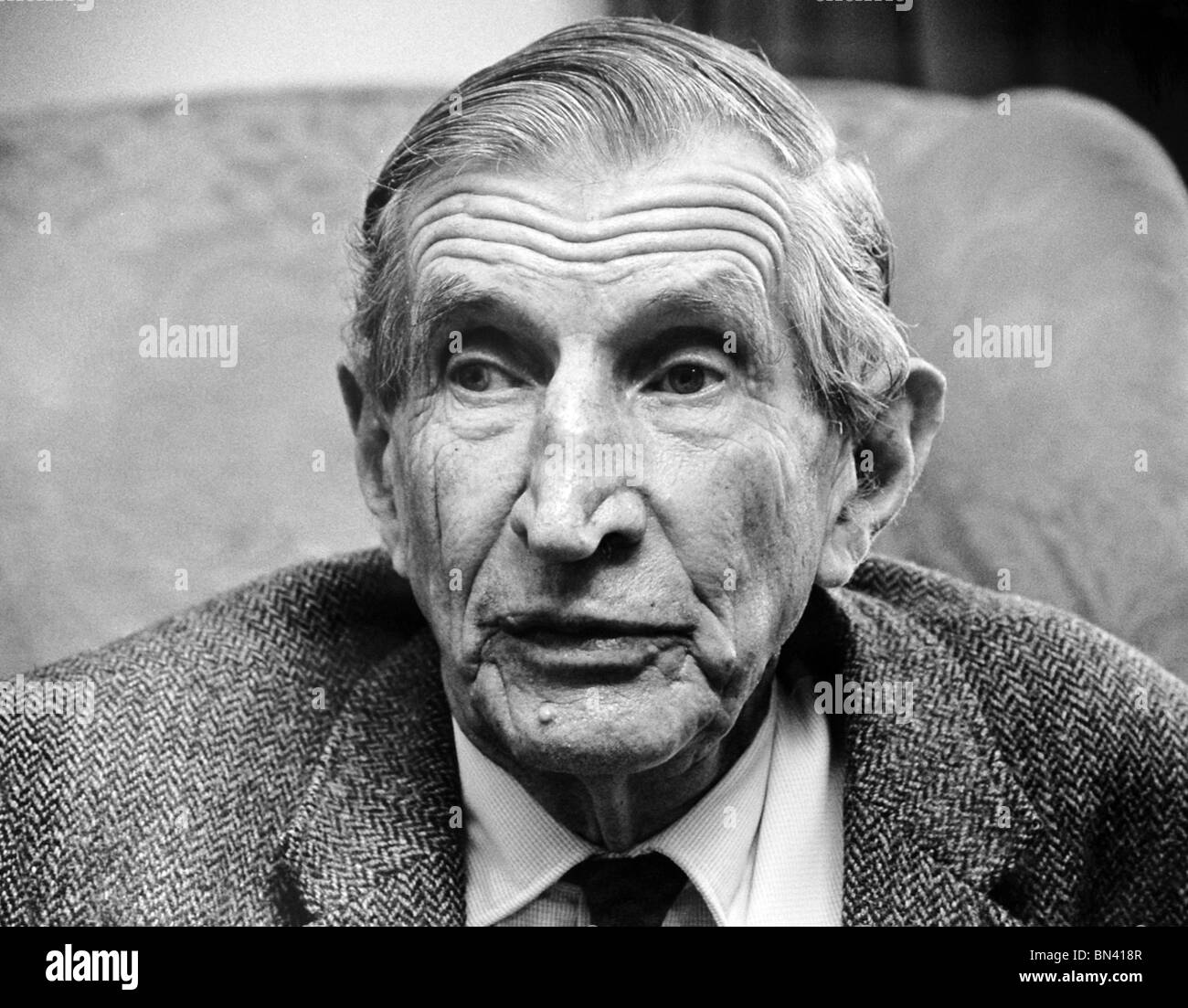 Author Wilfred Thesinger A Portrait Stock Photo Alamy