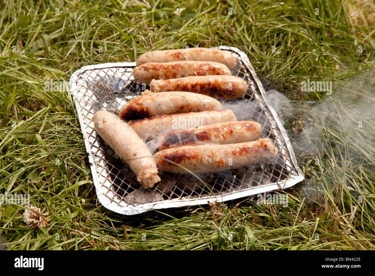 Disposable bbq hires stock photography and images Alamy