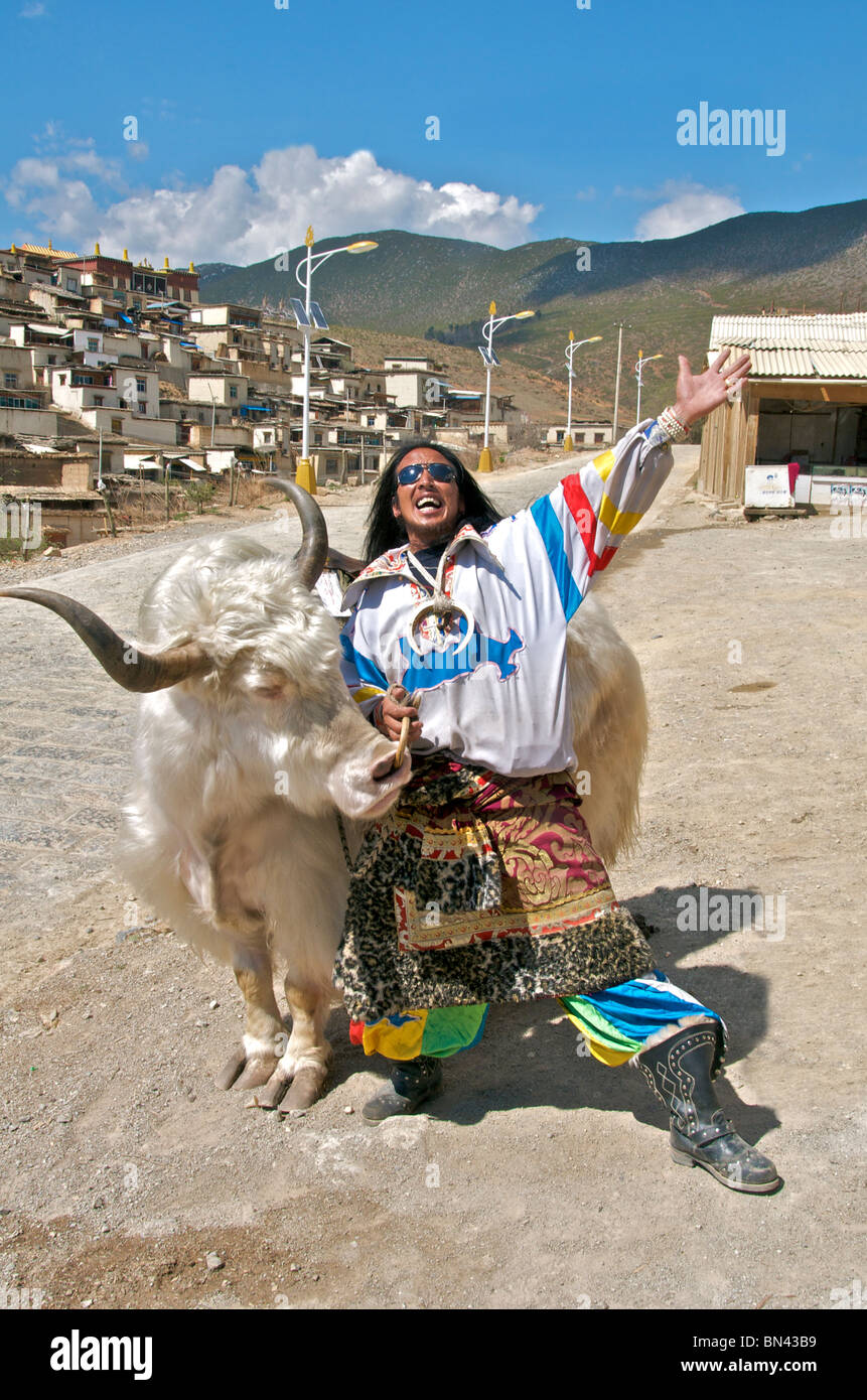 Tibetan man with yak Zhongdian Yunnan China Stock Photo