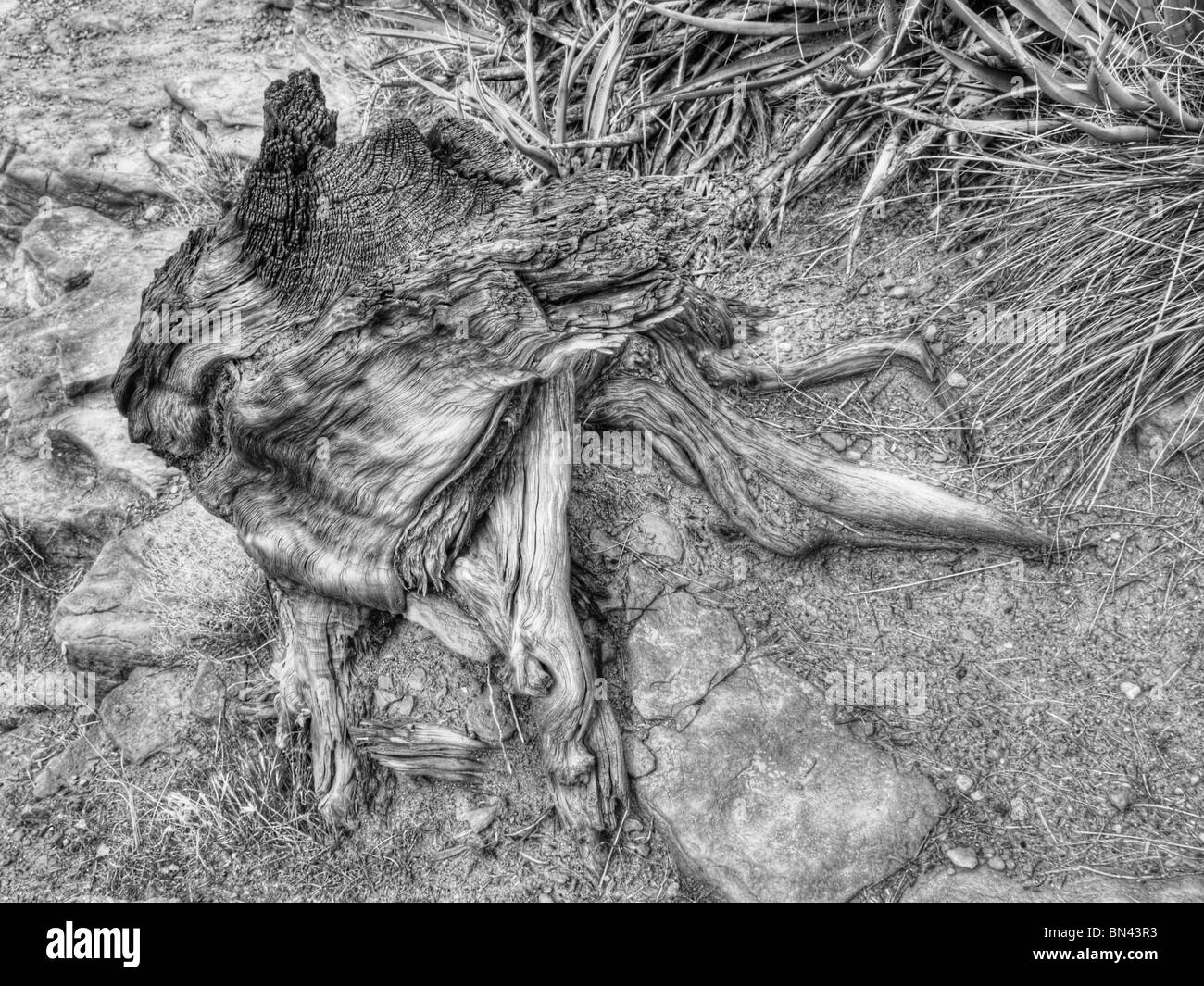 Sedona Arizona Red Rock Area Early Spring Stock Photo - Alamy