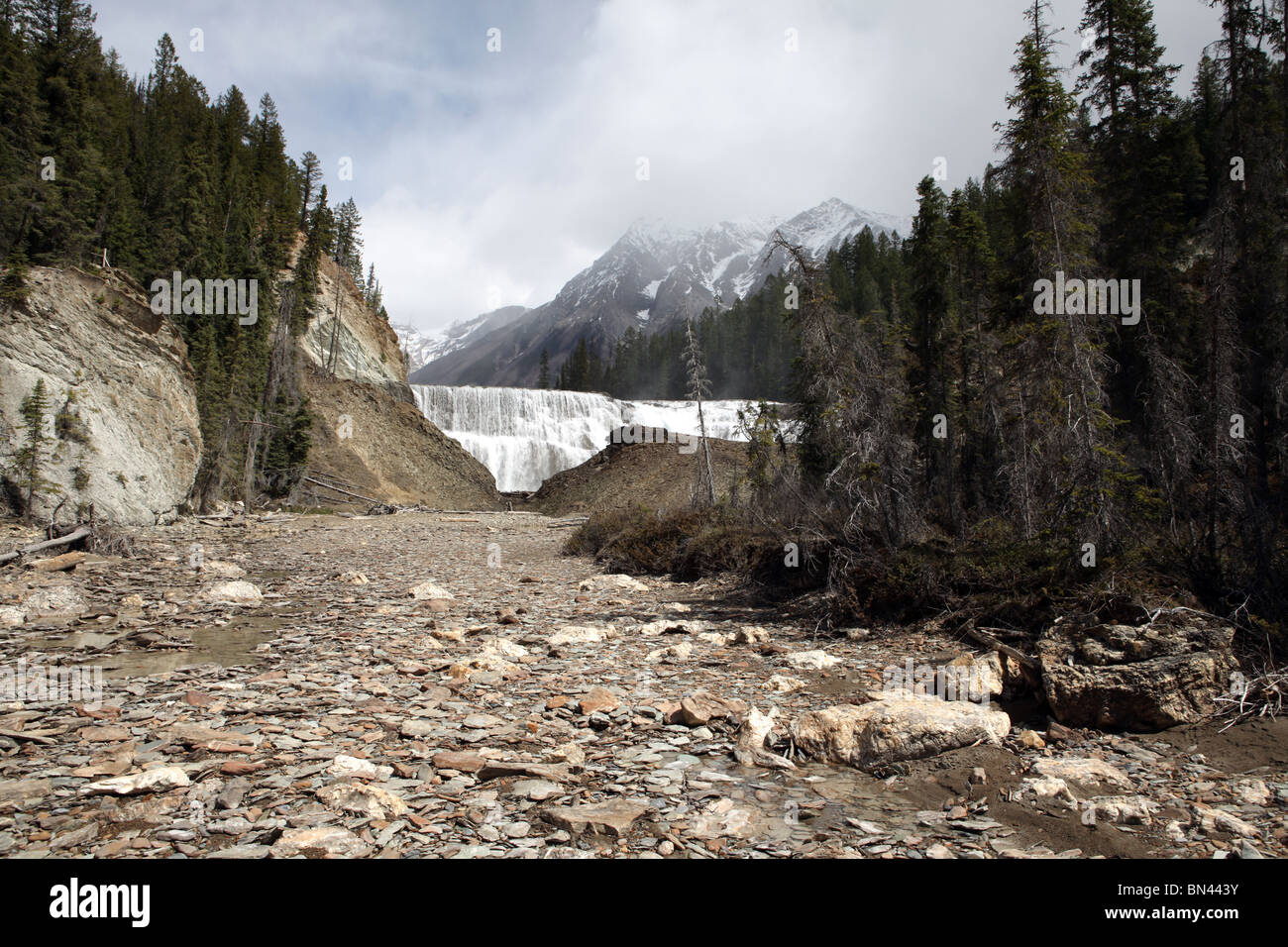 View of the Wapta Falls - Largest waterfall of the Kicking Horse River -Yoho National Park - British Columbia - Canada Stock Photo