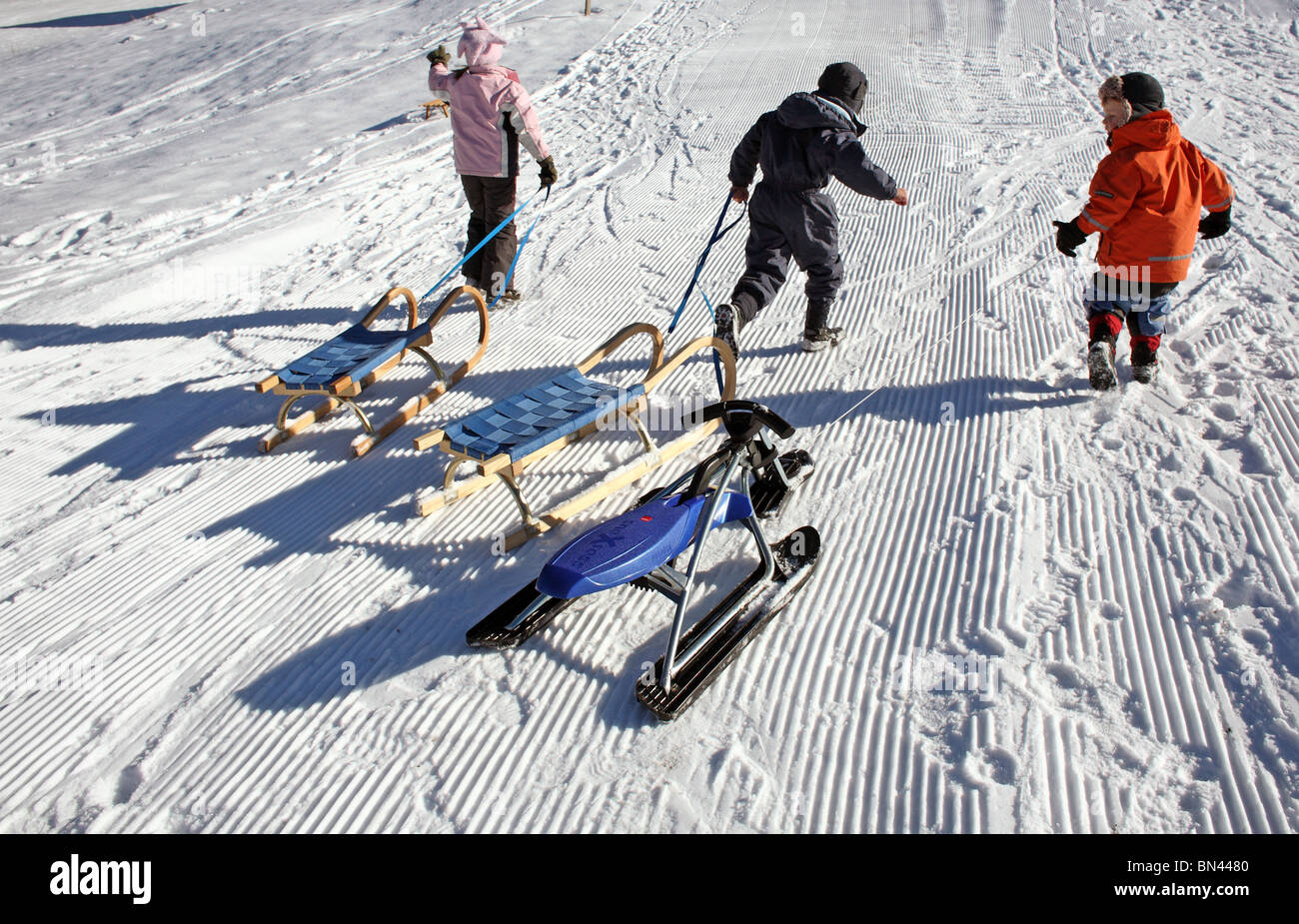 Children pulling sleds on the snow, Jerzens, Austria Stock Photo