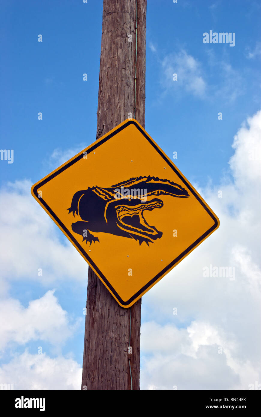 Alligator mississippiensis crossing sign on Creole Nature Trail All ...