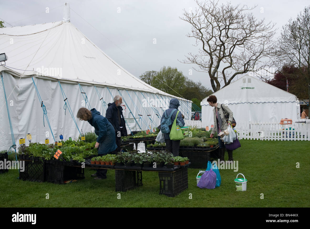 Tents and stalls at the Bath Flower Show, Bath Somerset UK Stock Photo