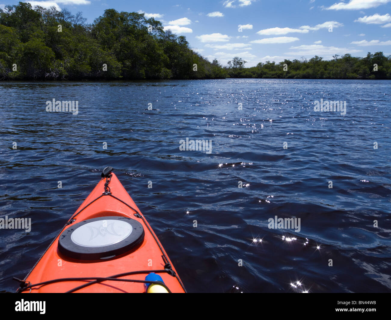 Kayak on Turner River in Everglades National Park back country