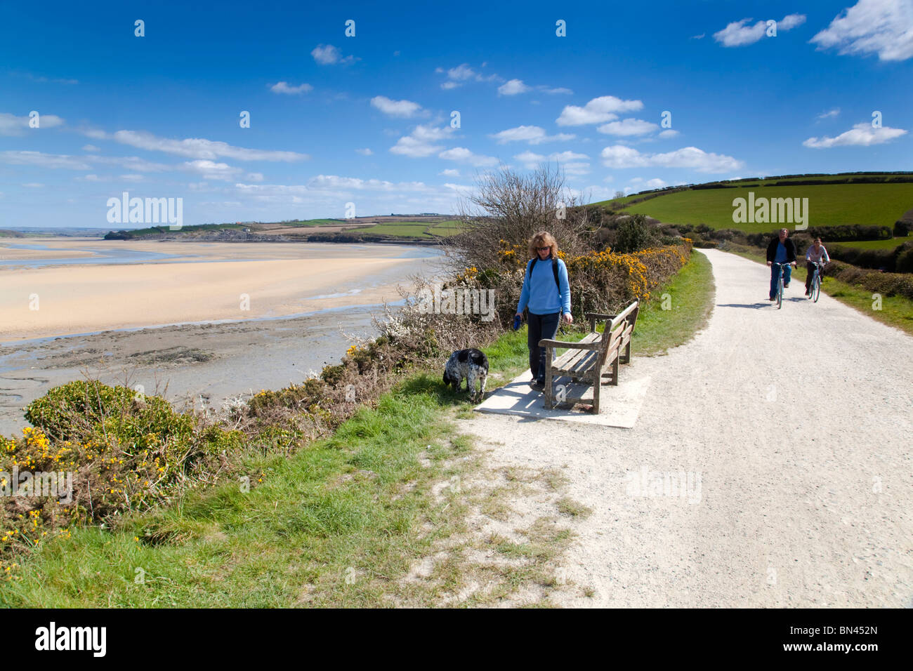 Camel Trail; near Padstow; Cornwall Stock Photo Alamy