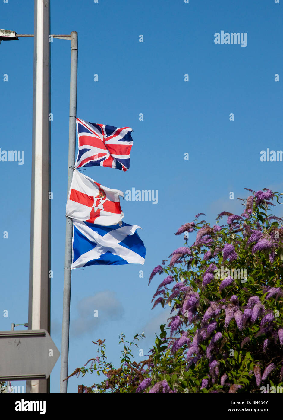 Three flags: the Union Flag (Jack), Ulster banner and Scottish Saltire, symbolising loyalism / Unionism, flying from a Sandy Row lamp-post in Belfast Stock Photo