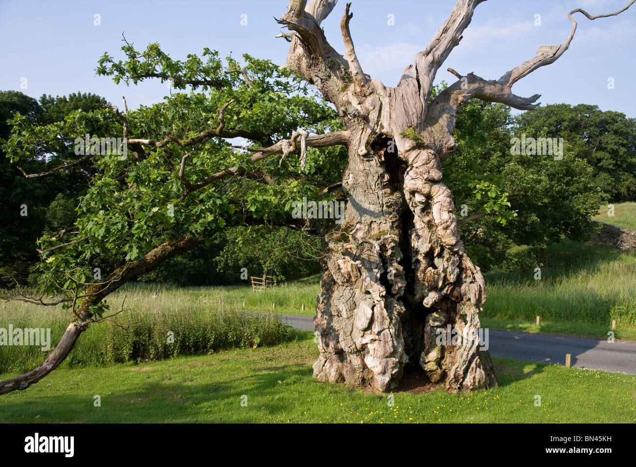 Laund High Resolution Stock Photography And Images Alamy