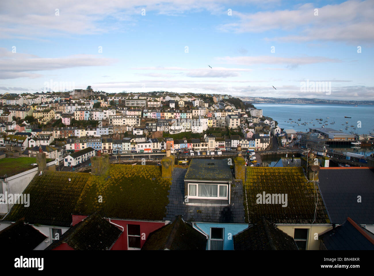 Brixham Devon UK Harbor Harbour Houses Stock Photo Alamy