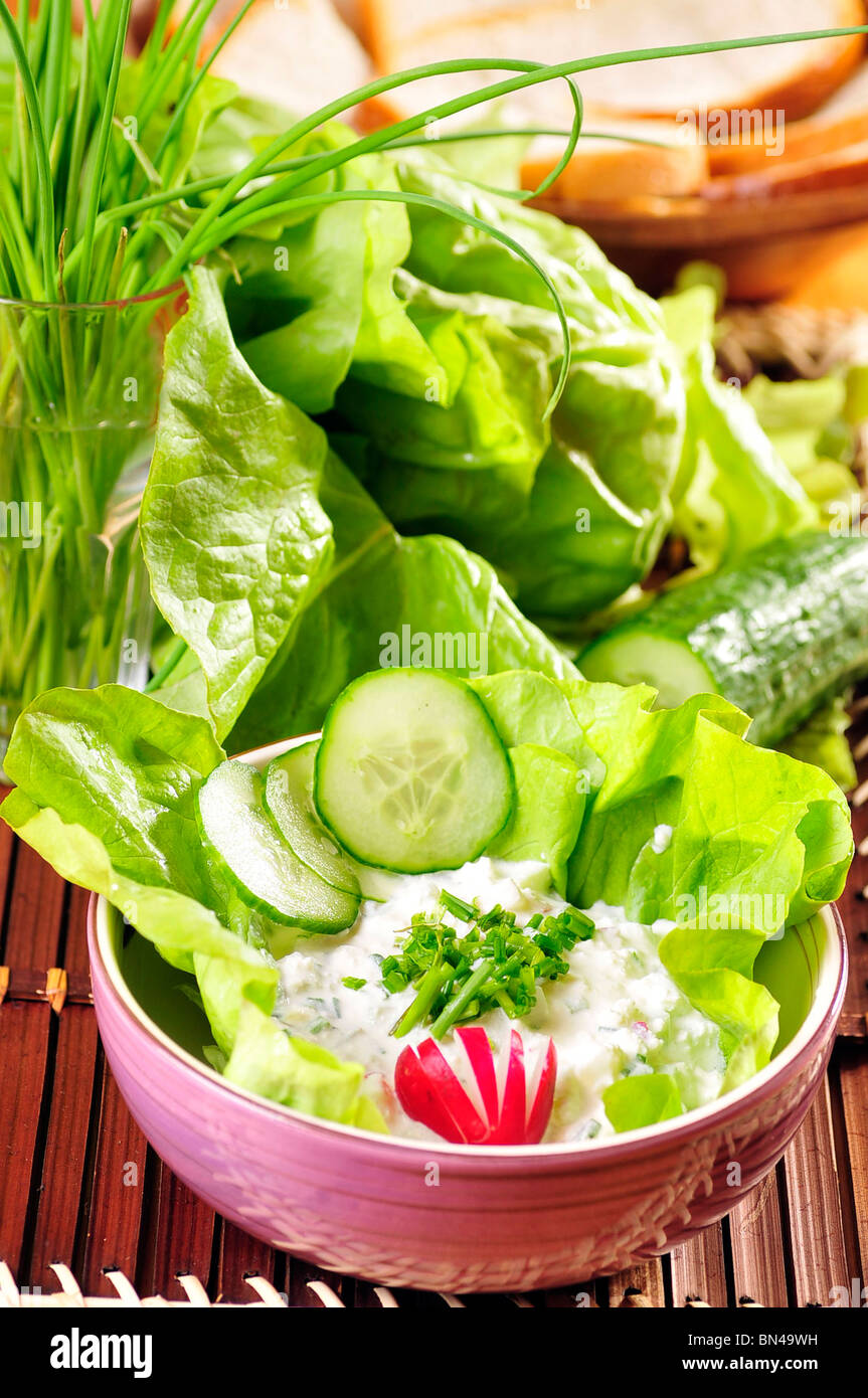 cabbage calorie cheese condiments cottage dairy diet food fresh healthy lettuce lunch nutrition protein radish restaurant snack Stock Photo