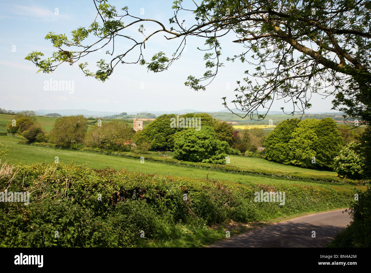 View over the picturesque West Dorset village of Askerswell Stock Photo