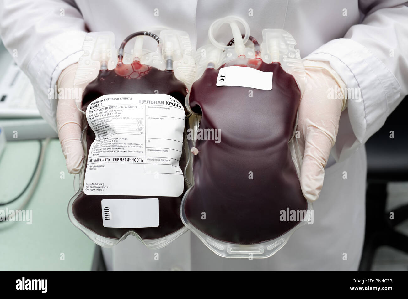 transparent packages of fresh donor whole blood in nurses hands Stock Photo
