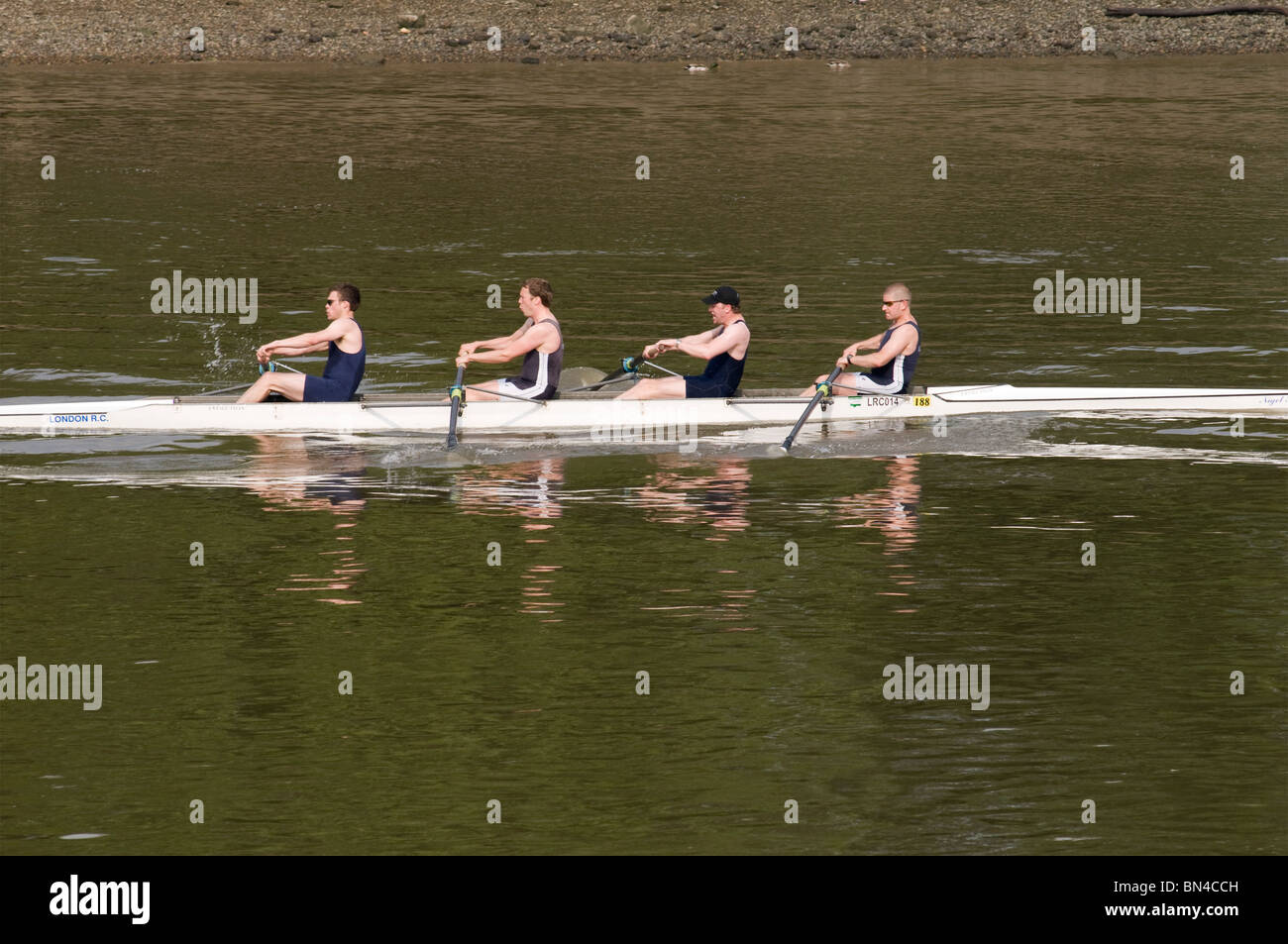 Rowing on the Thames at Hammersmith, London, United Kingdom Stock Photo