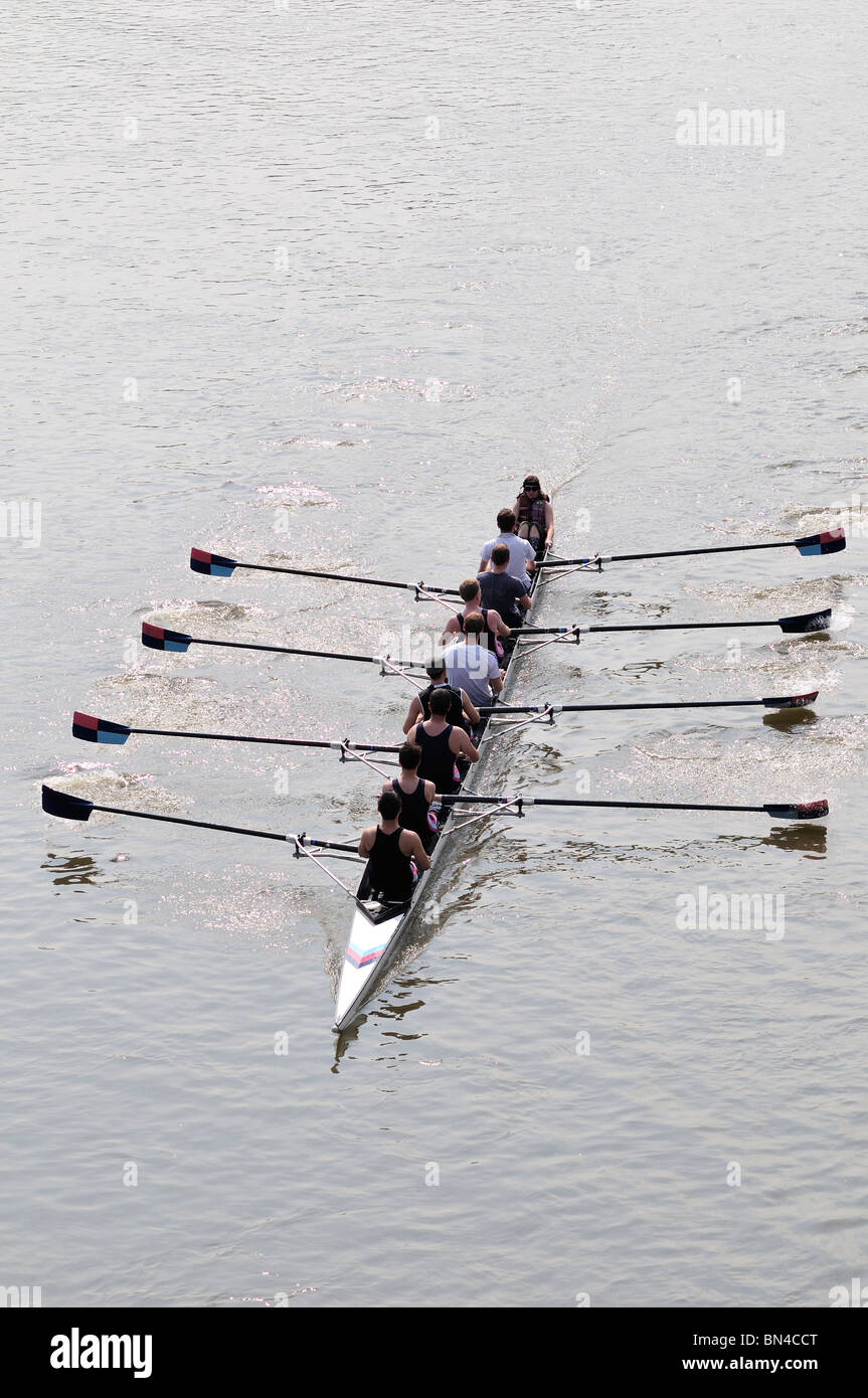 Rowing on the Thames at Hammersmith, London, United Kingdom Stock Photo