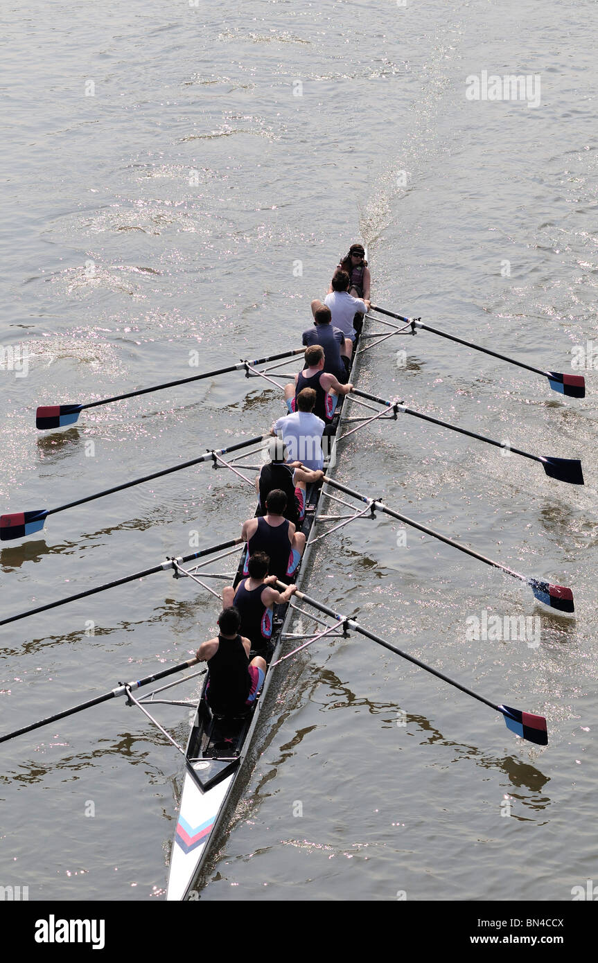 Rowing on the Thames at Hammersmith, London, United Kingdom Stock Photo