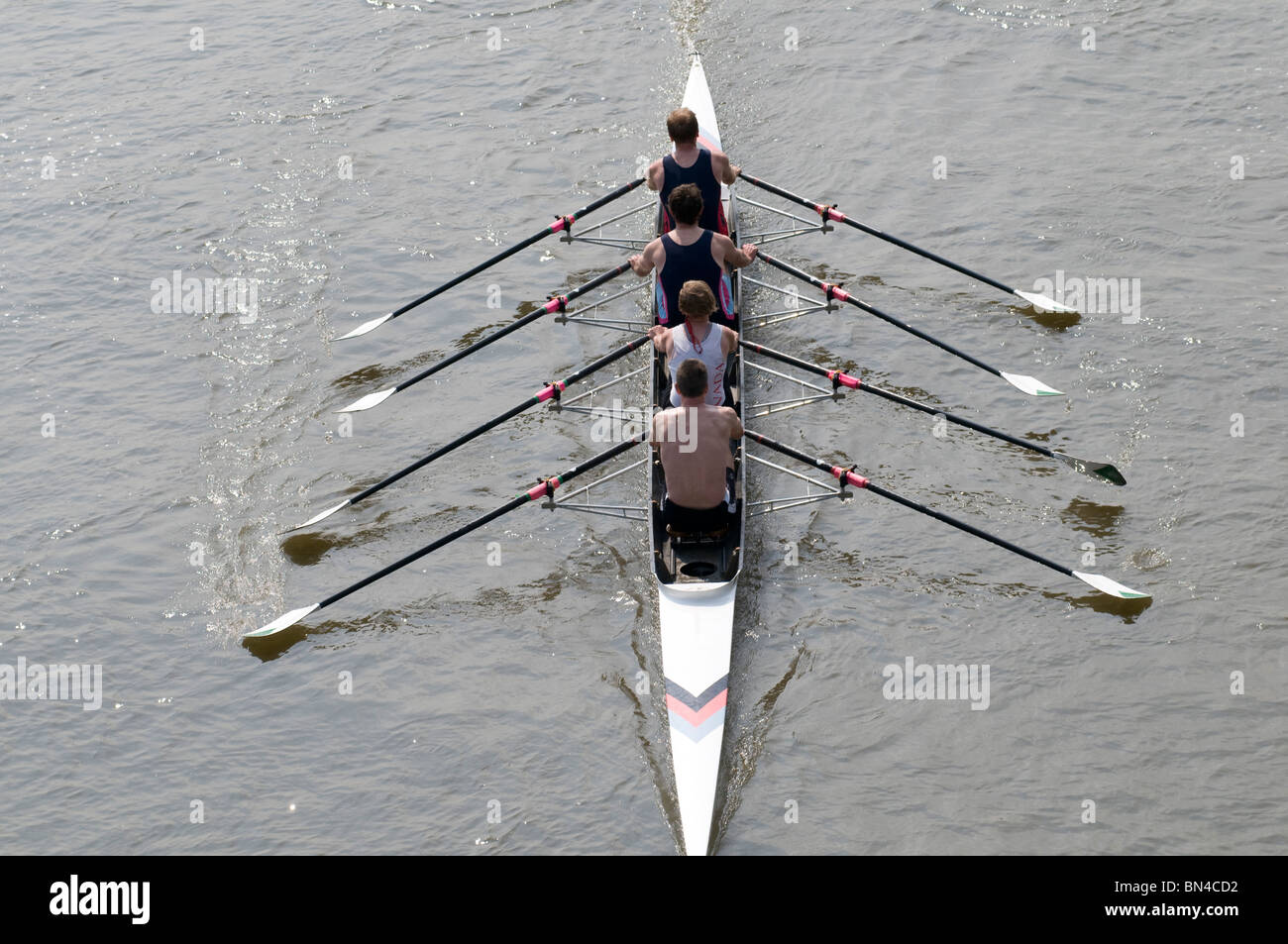 Rowing on the Thames at Hammersmith, London, United Kingdom Stock Photo