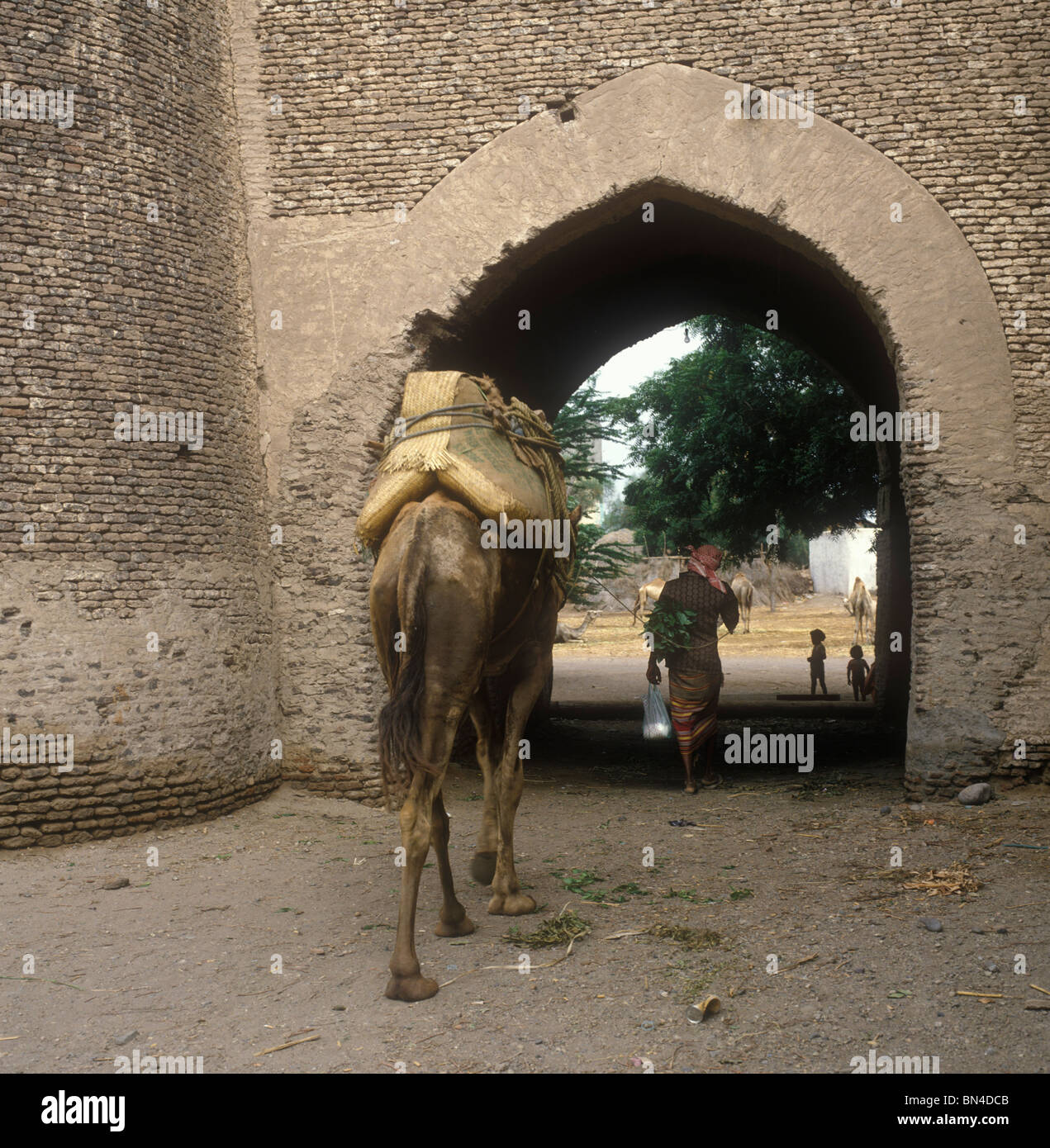 Camel entering town gate Zabid Yemen Stock Photo