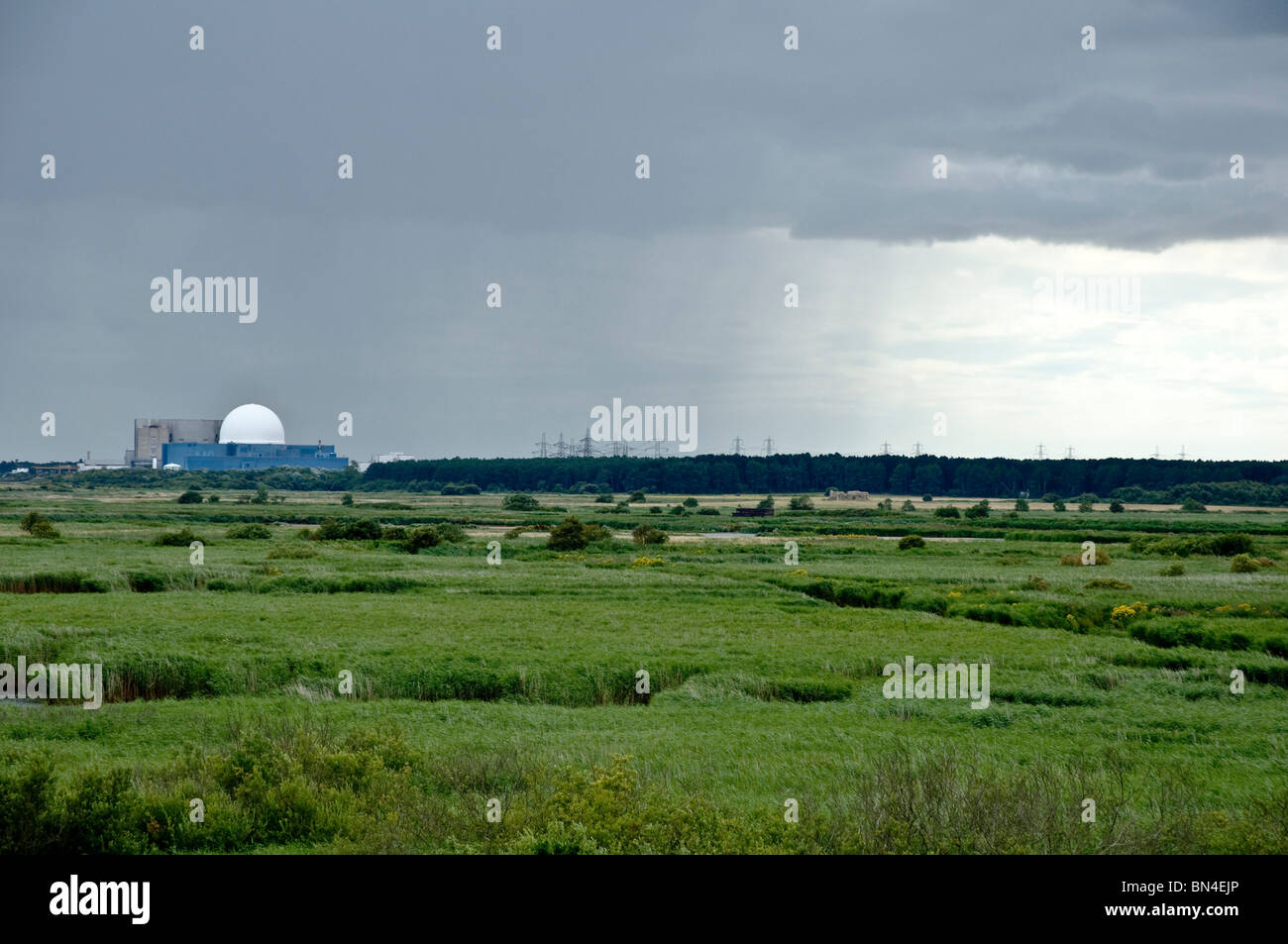 Sizewell Nuclear Power Station - with storm cloud - Reed Beds in the foreground, the wild bird haven at Minsmere, Suffolk, UK Stock Photo