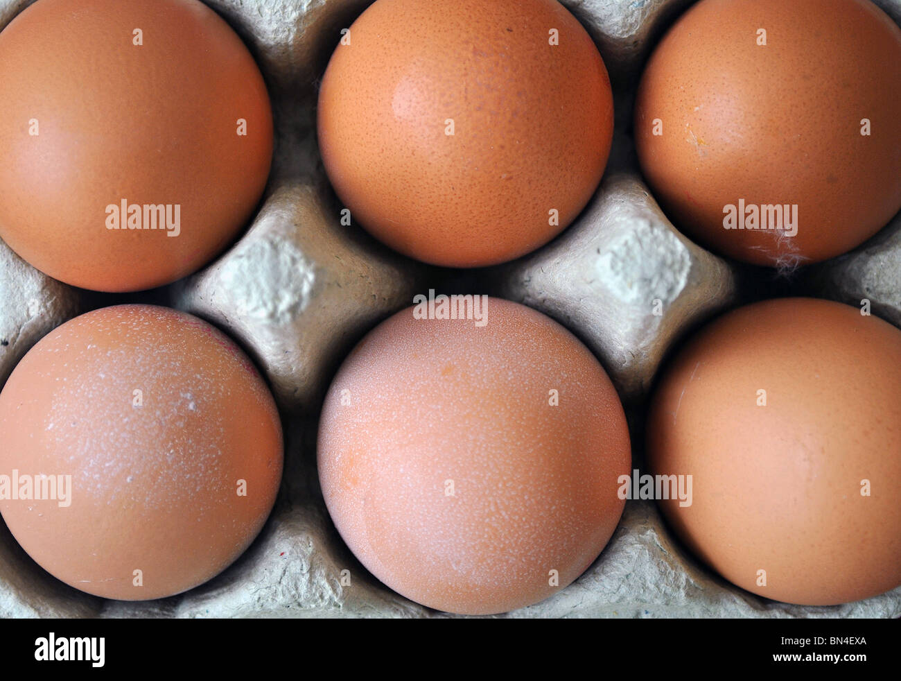 half a dozen eggs in a egg box Stock Photo