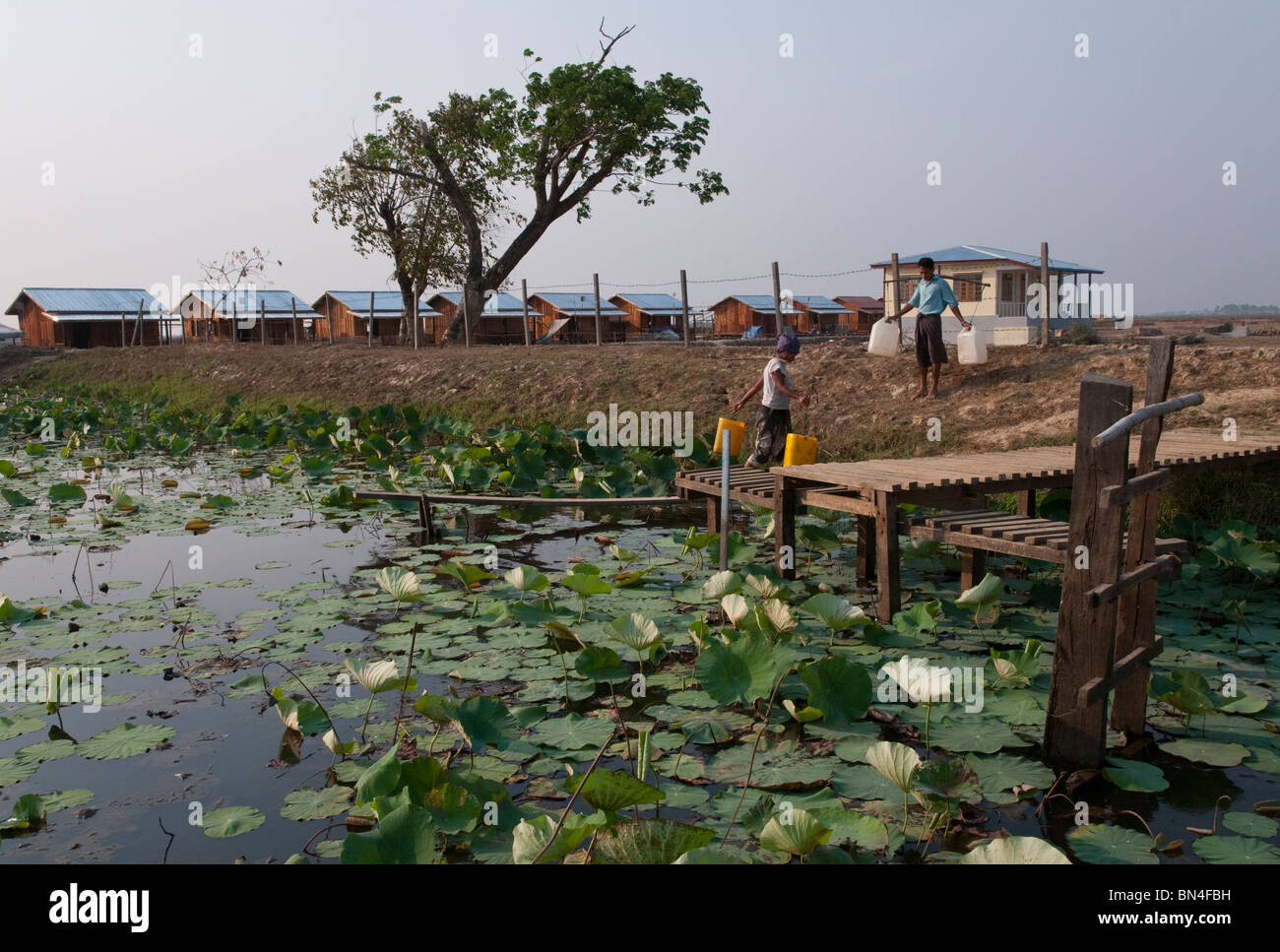 Myanmar. Burma. trip to the Ayeryarwadyi delta in the labutta area. Nargis cyclone aftermaths Stock Photo