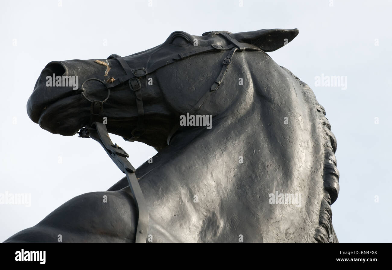 A black statue of a horse standing on it's hind legs rearing up with its handler holding the reins. Photo by Matt Kirwan. Stock Photo