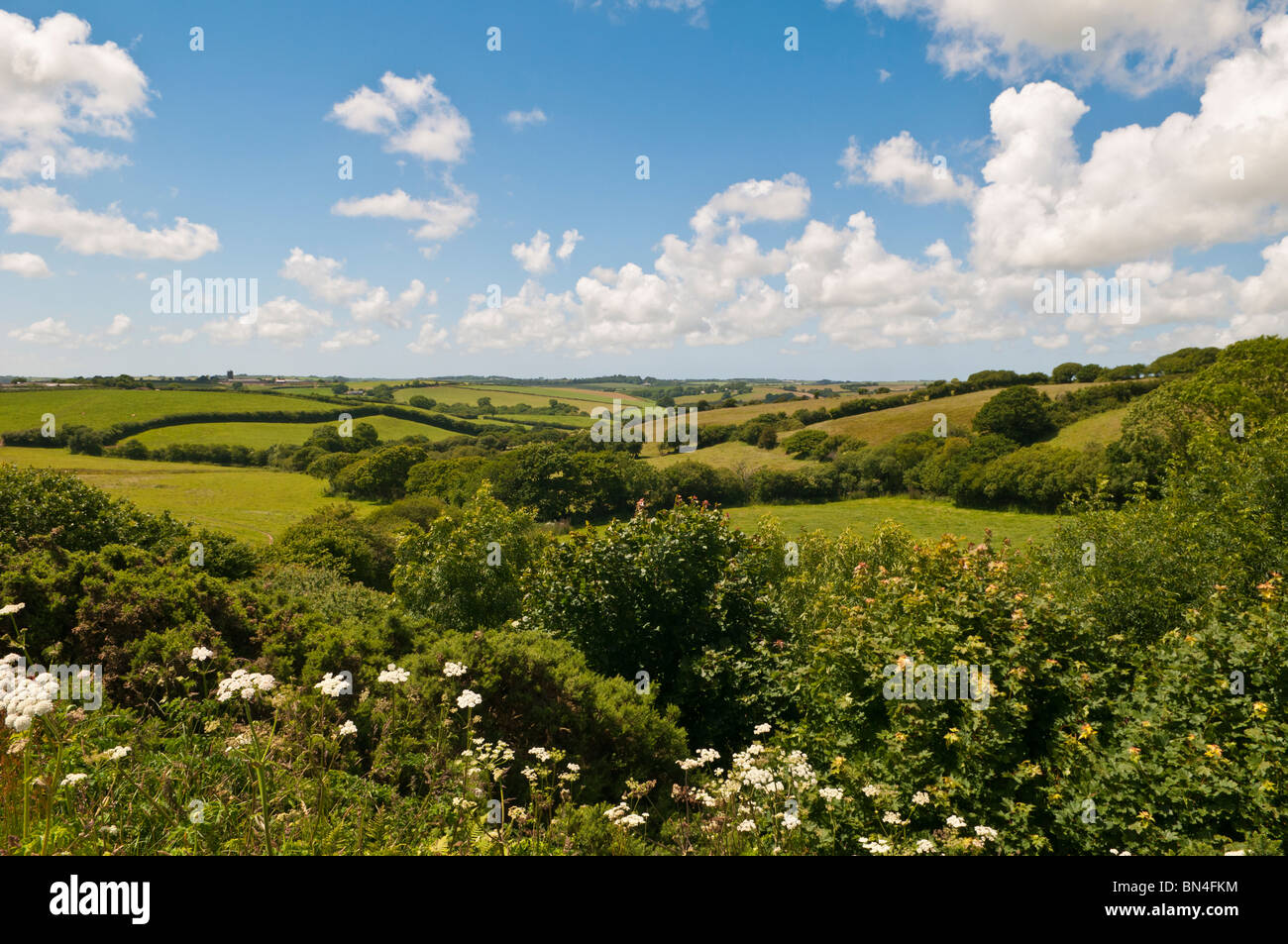 The Cornish Countryside in early summer Stock Photo