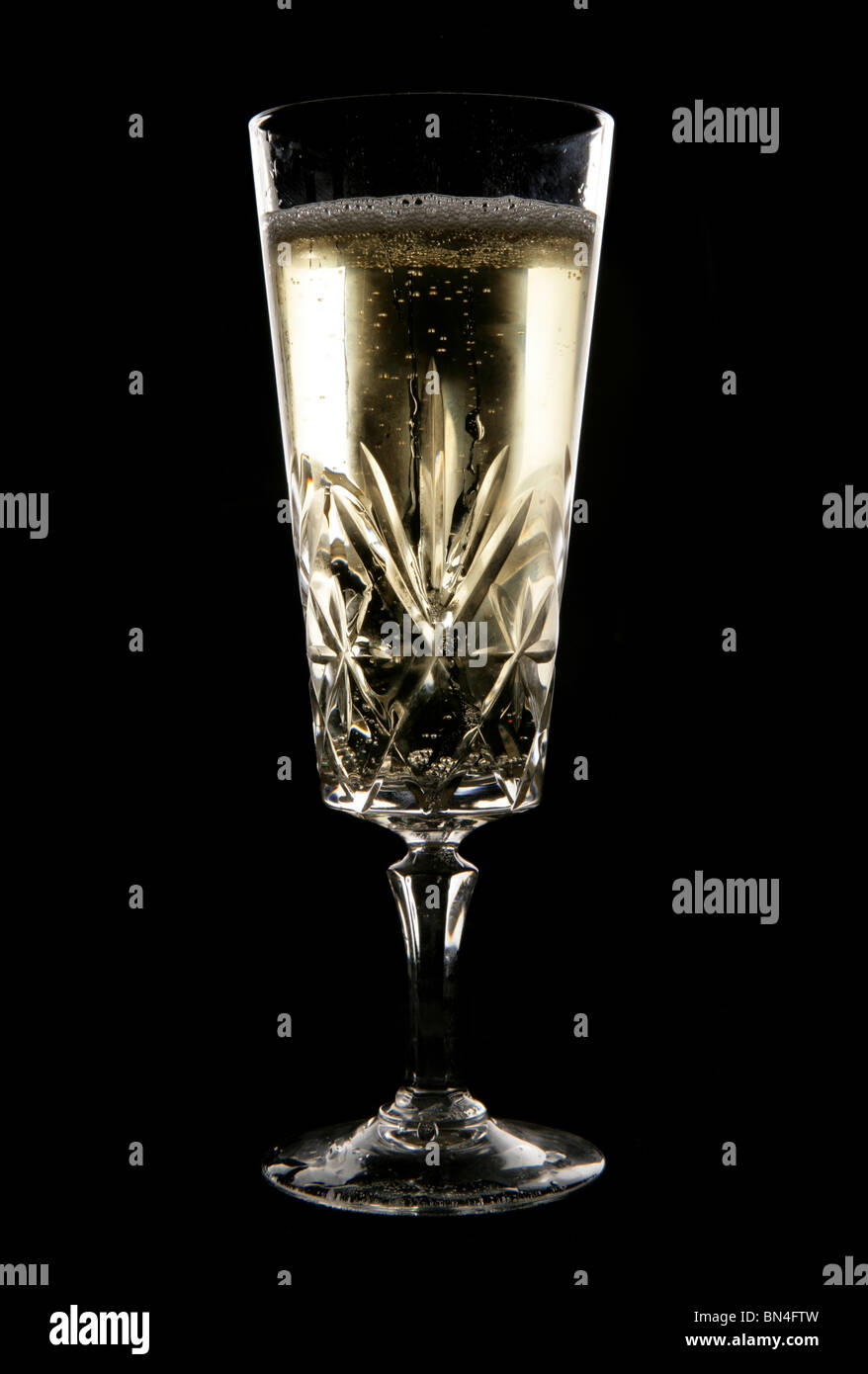 Chilled champagne in crystal glass in studio Stock Photo Alamy