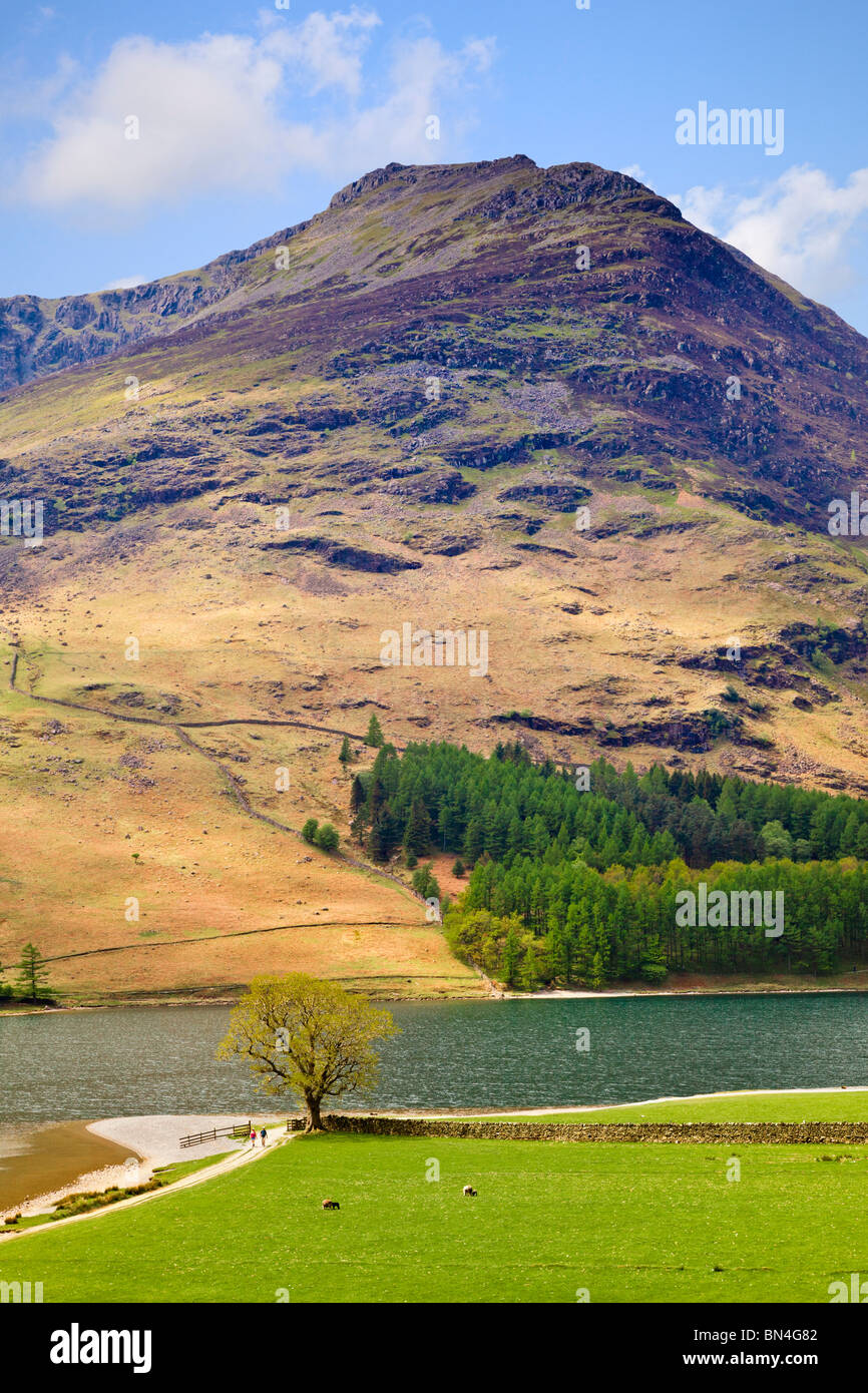 High Stile mountain and Buttermere Lake, The Lake District, Cumbria, England, UK Stock Photo