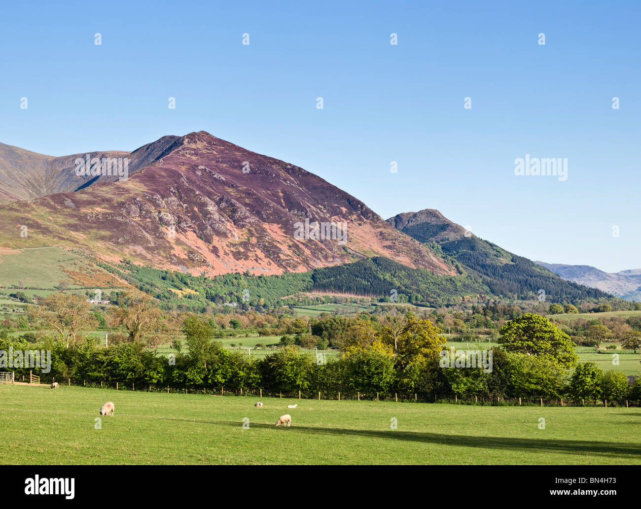 Skiddaw mountain, The Lake District, Cumbria, England, UK Stock Photo