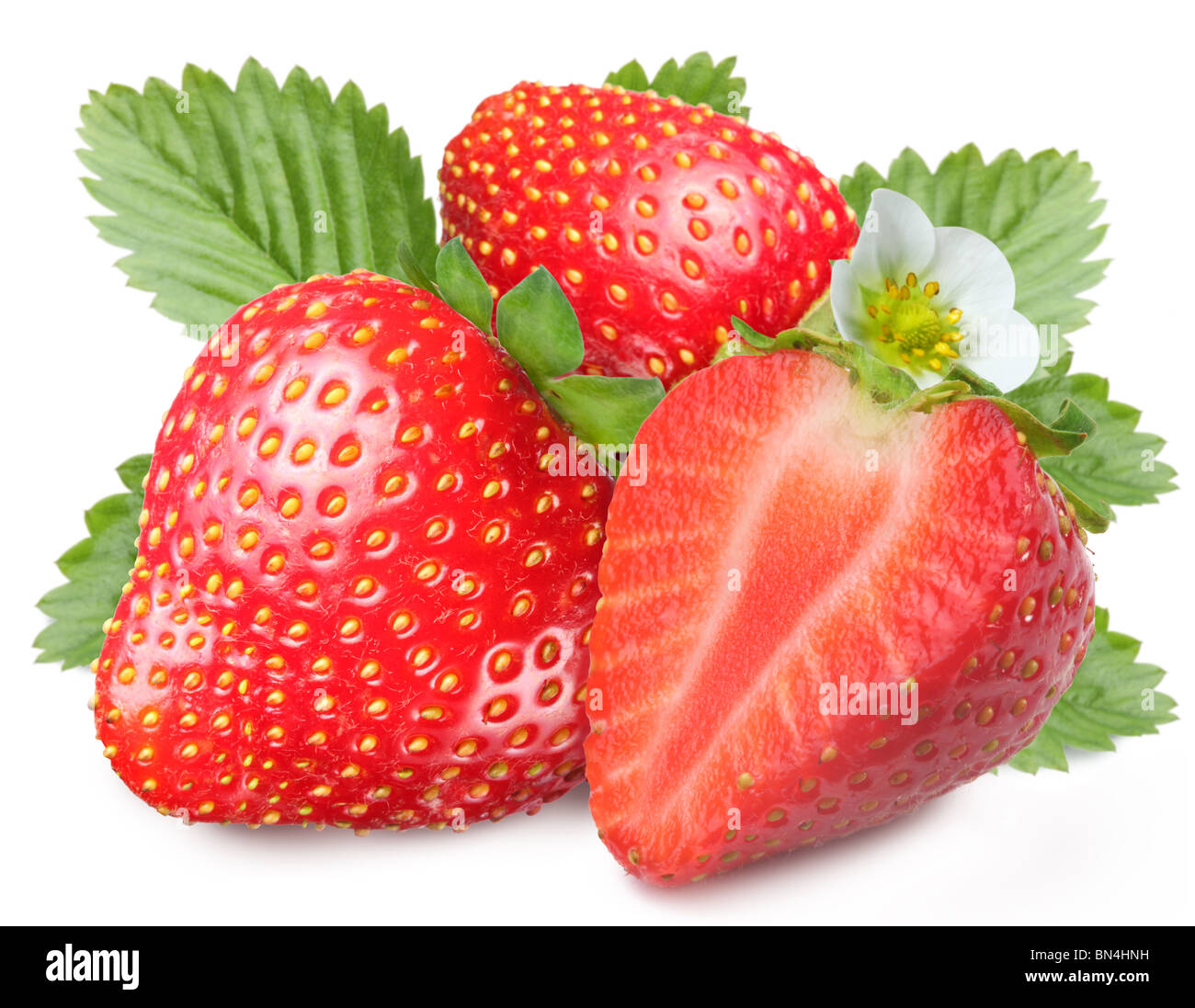 Tempting strawberries with leaves and flower Stock Photo Alamy
