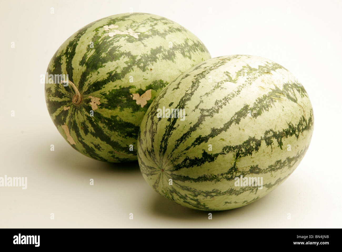 Fruits ;Two full watermelons with light and dark green stripes watery and red from inside ; Pune