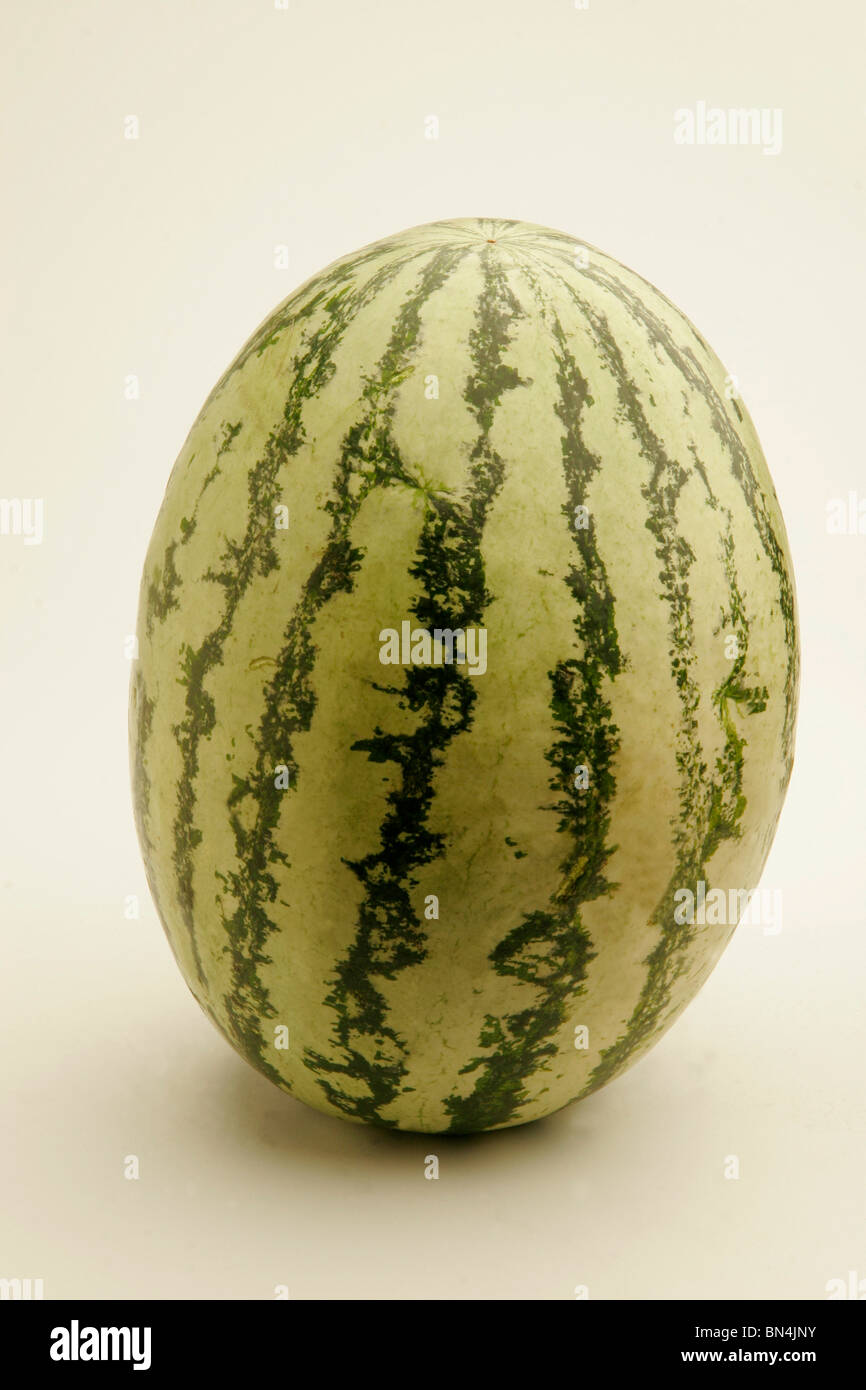 Fruits ;Two full watermelons with light and dark green stripes watery