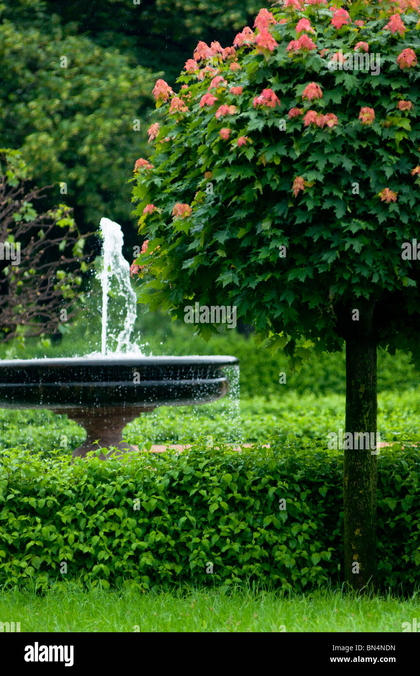 Hofgarten in spring hi-res stock photography and images - Alamy
