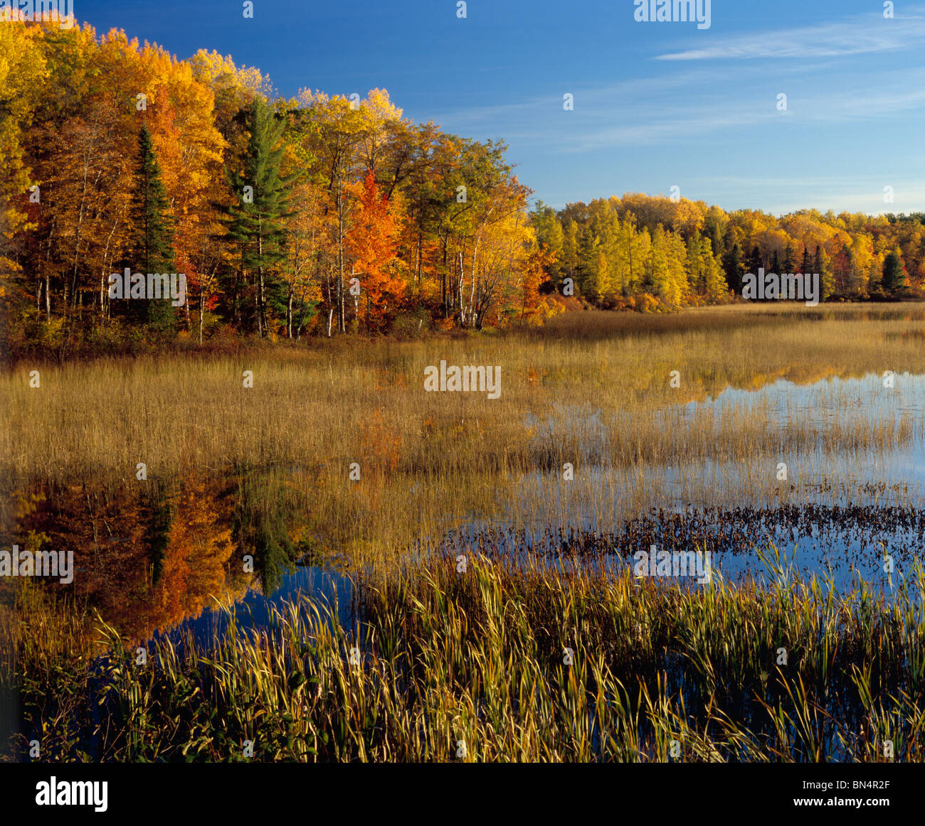 West Plum Lake in the Northern Highland American Legion State Forest