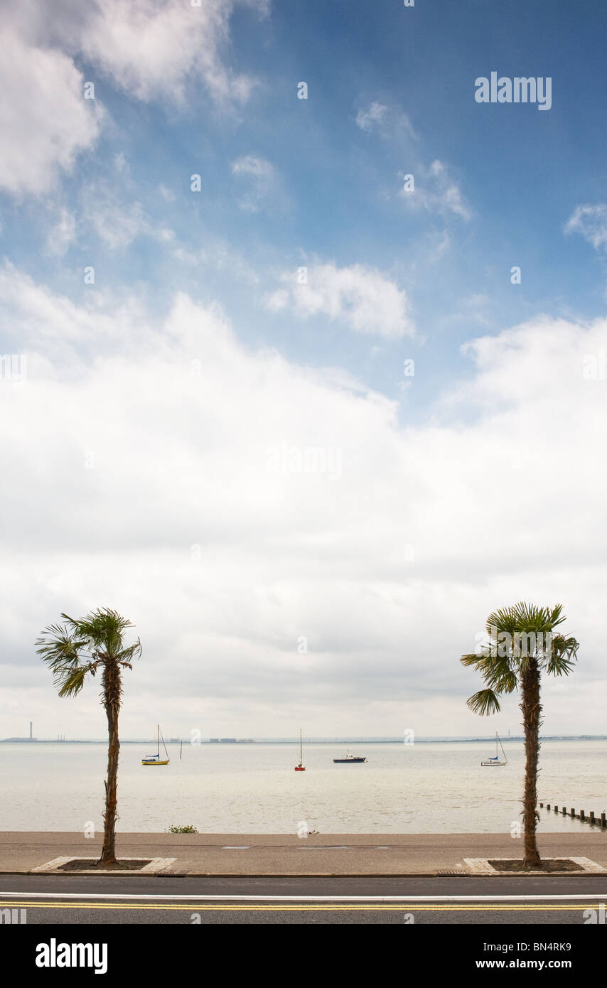 photo-of-palm-trees-hi-res-stock-photography-and-images-alamy