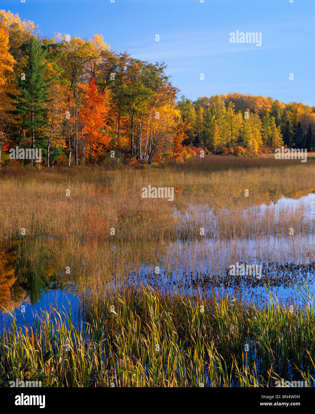 West Plum Lake in the Northern Highland American Legion State Forest, Vilas County, WI Stock