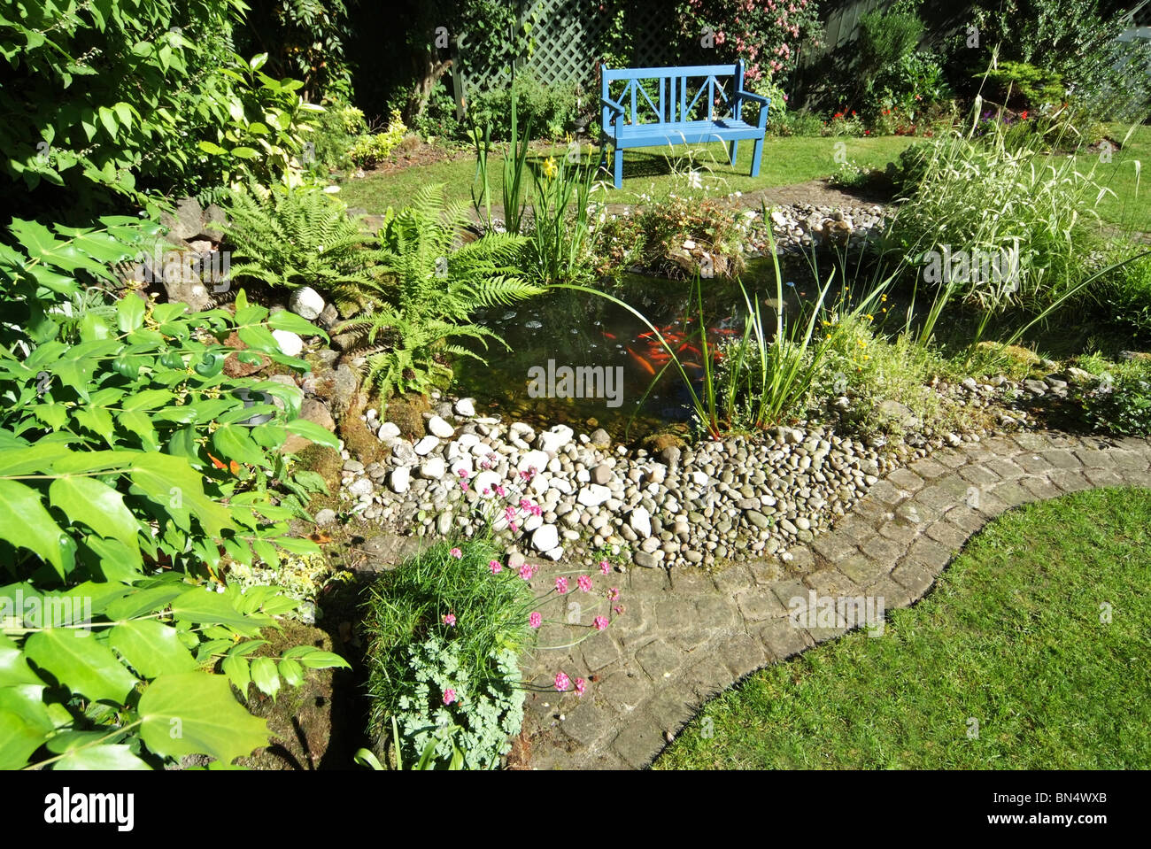 Fish Pond in a rural setting with a small waterfall Stock Photo Alamy