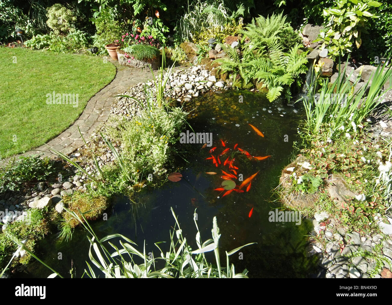 Fish Pond in a rural setting with a small waterfall Stock Photo - Alamy