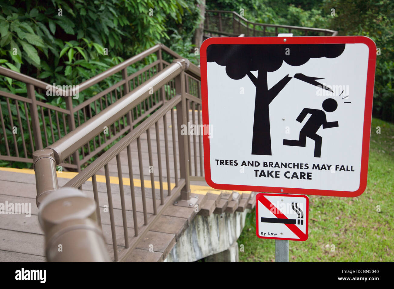 A sign warning of danger that reads, "Trees and Branches May Fall