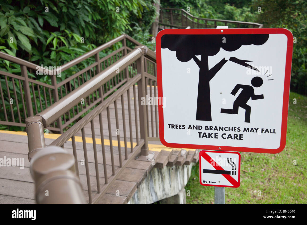 A sign warning of danger that reads, 'Trees and Branches May Fall - Take Care' Stock Photo