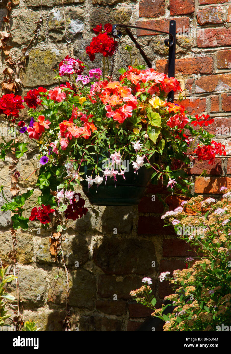 Colourful floral hanging basket fixed to old brick wall and containing Petunias, Fuchsia, Pelargonium and Busy Lizzies in British garden Stock Photo