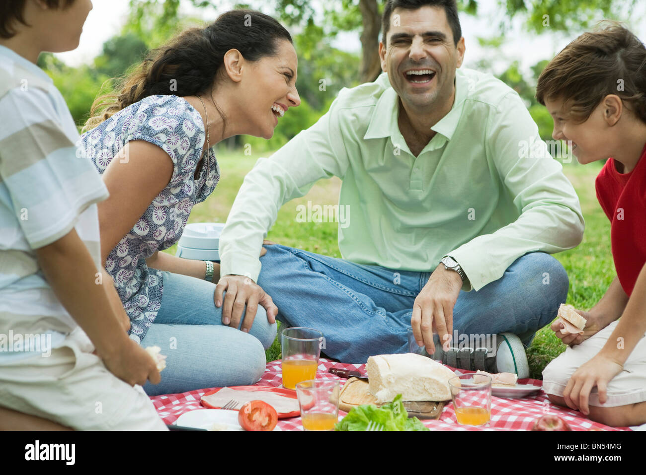 Family enjoying picnic outdoors Stock Photo