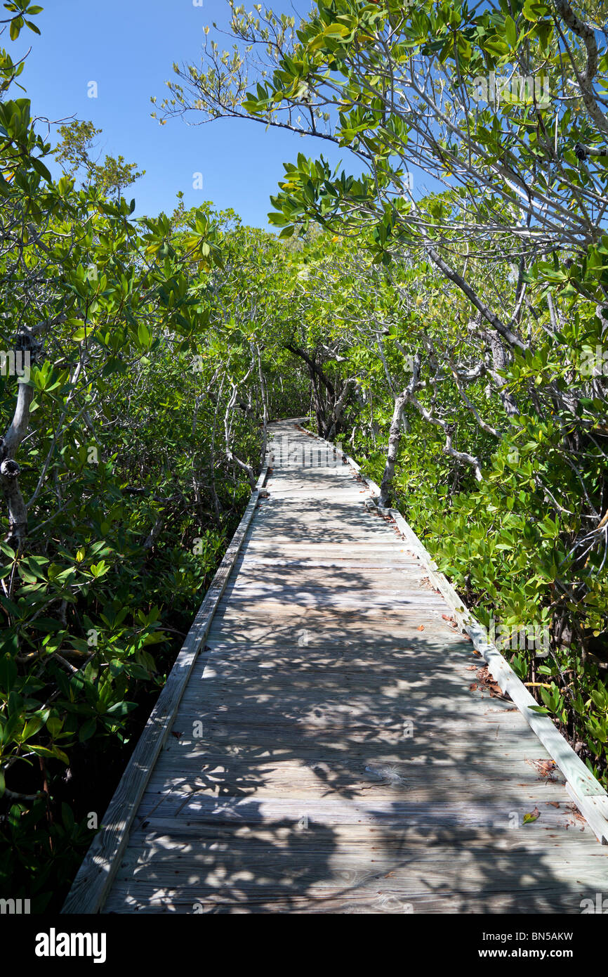Boardwalk through the mangroves at John Pennekamp State Park, Key Largo, Florida, USA Stock Photo